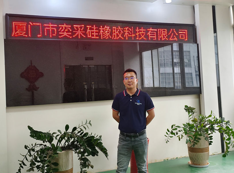 Porcellana Xiamen E-purchasing silicone rubber technology Co.,Ltd Profilo Aziendale