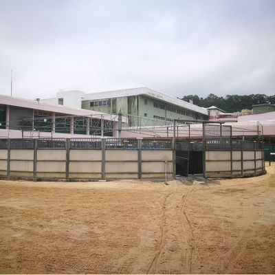 2m X 30m Horse Walker Rubber Mat Roll With Slip Resistant And Anti Bacterial Surface