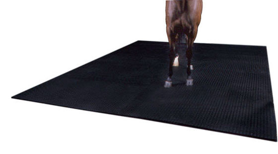 Heavy Duty Horse Stable Mats For Stable Safe And Easy To Clean 30mm Thickness