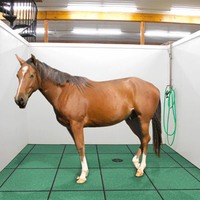 50 X 50cm Horse Stable Mats Green Color 40mm Thickness
