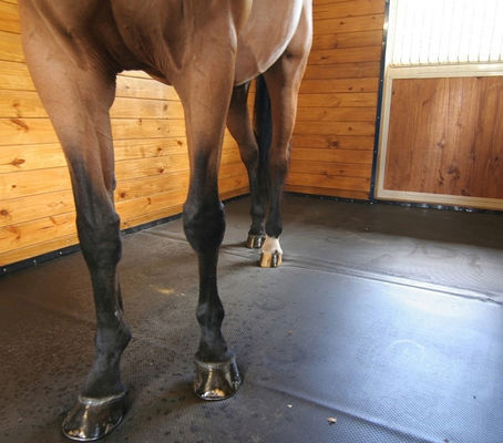 4ft X 6ft Horse Stable Mats SBR And Reclaimed Rubber Durable Tough