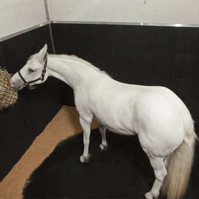 Pebble Pattern Stable Wall Mats Rubber Horsebox Wall Matting Size 6' X 4' 1.83m X 1.22m