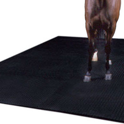 Dual Sided Decorative Lawn And Racecourse Stepping Stone Rubber Horse Stable Floors