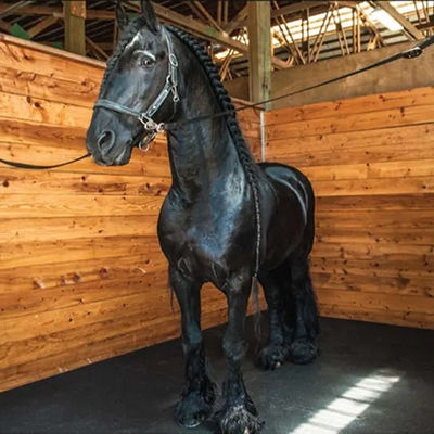 Dual Sided Decorative Lawn And Racecourse Stepping Stone Rubber Horse Stable Floors