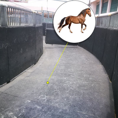 1205*723*24mm Horse Walker Rubber Mats For Horse running Machine Horse Exercise Walker Mats