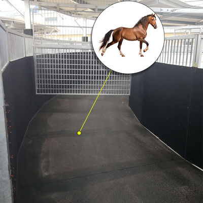 1205*723*24mm Horse Walker Rubber Mats For Horse running Machine Horse Exercise Walker Mats