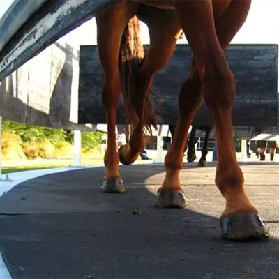 24mm Horse Walker Matting For Stable Walkways And Horse Walker