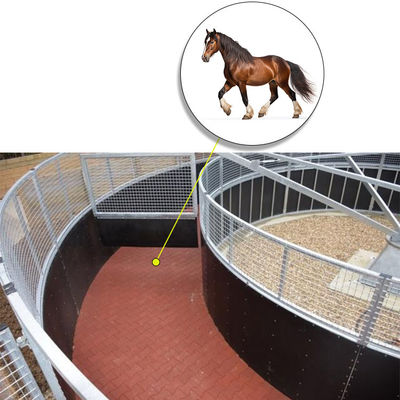 Dog Shaped Rubber Horse Walker Mats For 36ft Diameter X 6ft 6in Walkway