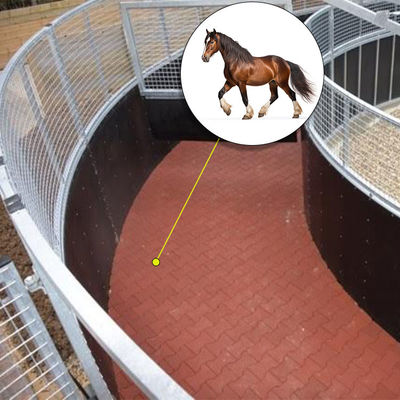 Dog Shaped Rubber Horse Walker Mats For 36ft Diameter X 6ft 6in Walkway