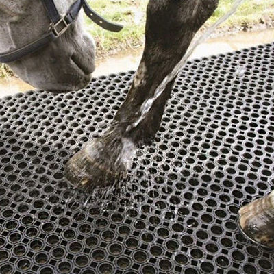 Drainable Rubber Honeycomb Mat Anti Slip Rubber Mats For Horse Solariums And Washdown Area