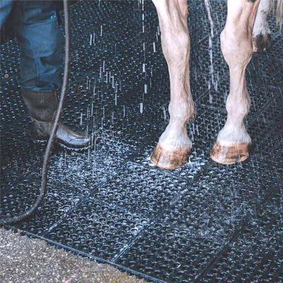 Drainable Rubber Honeycomb Mat Anti Slip Rubber Mats For Horse Solariums And Washdown Area