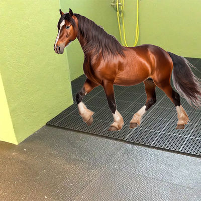 Mats For Horse Shower Make It Possible To Secure The Showering Areas Of The Horses