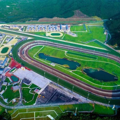 Athletic Track Materials Outdoor Rubber Flooring EPDM Rubber Floor Spray Coat Rubber Running Track